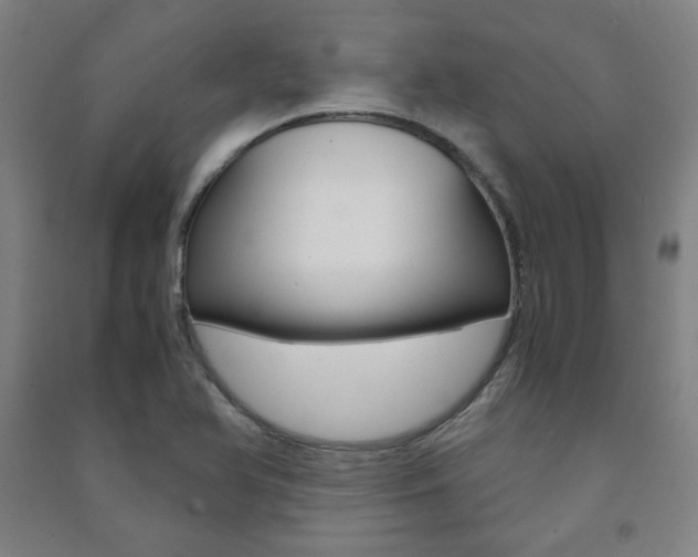 X0000091491366200708161202