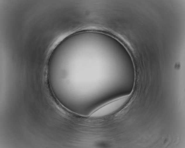 X0000091491367200708161202