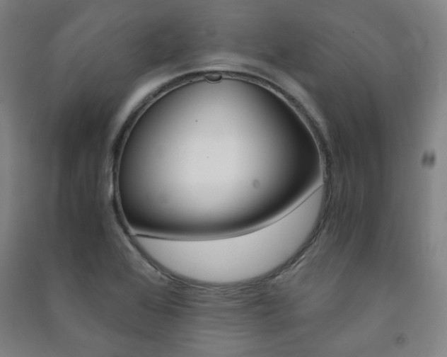 X0000091491368200708161202