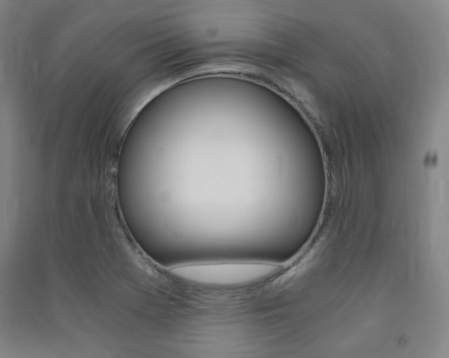 X0000091491369200708161202