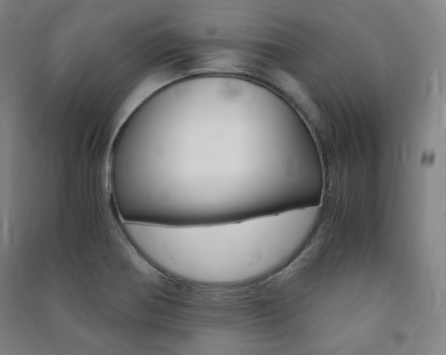 X0000091491370200708161202