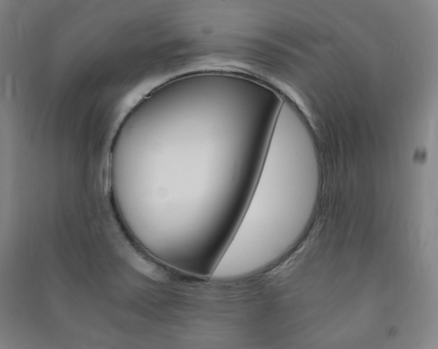 X0000091491371200708161202