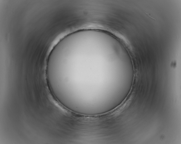 X0000091491374200708161202