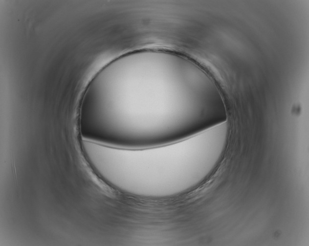X0000091491375200708161202