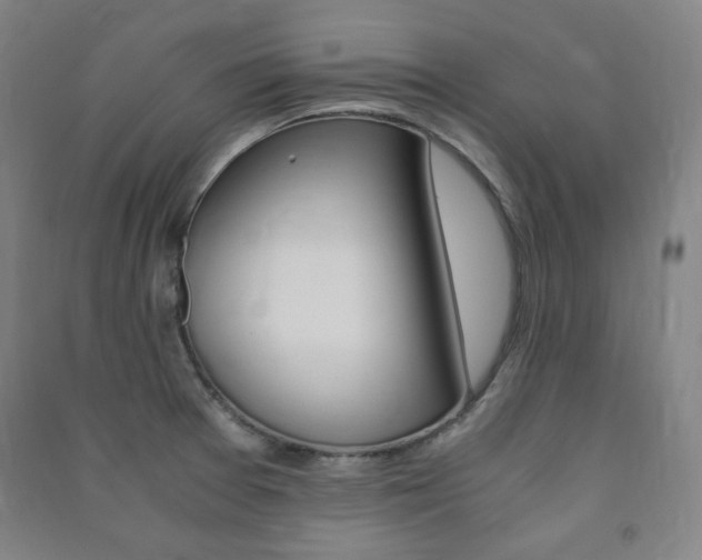 X0000091491377200708161202