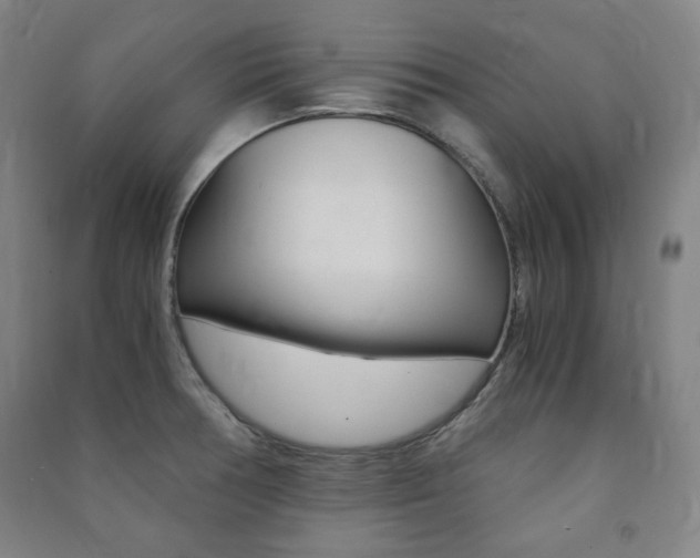 X0000091491378200708161202