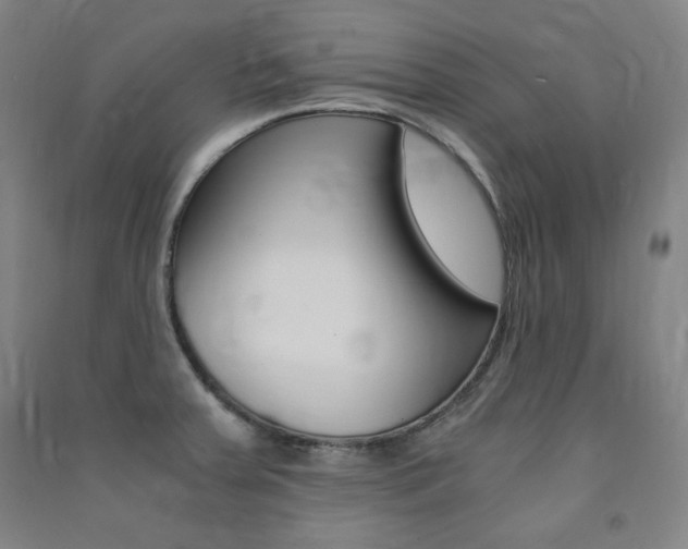 X0000091491379200708161202