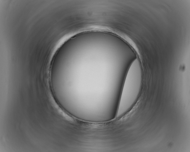 X0000091491381200708161201