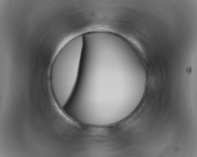 X0000091491382200708161201