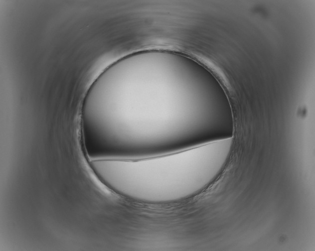 X0000091491383200708161201