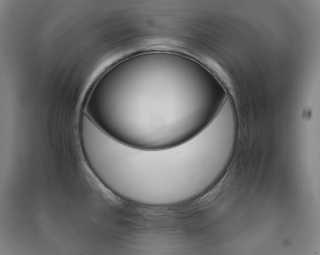 X0000091491384200708161201