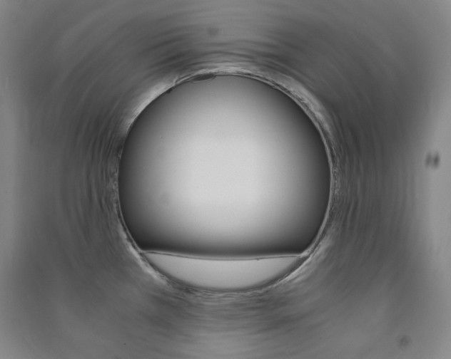 X0000091491385200708161201