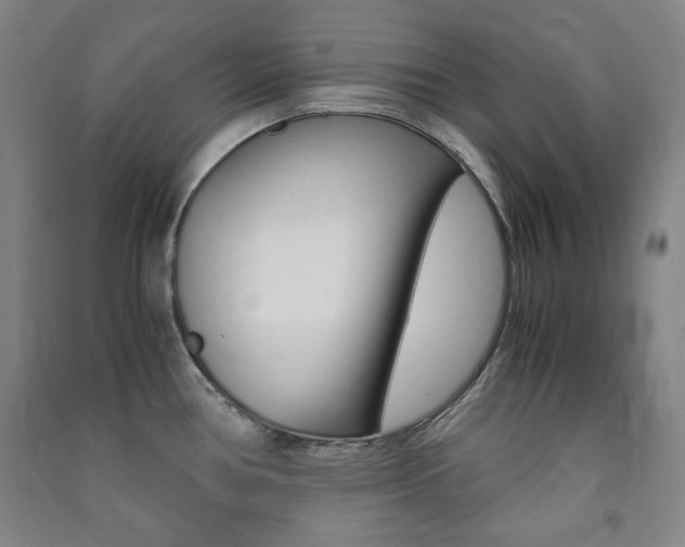 X0000091491386200708161201