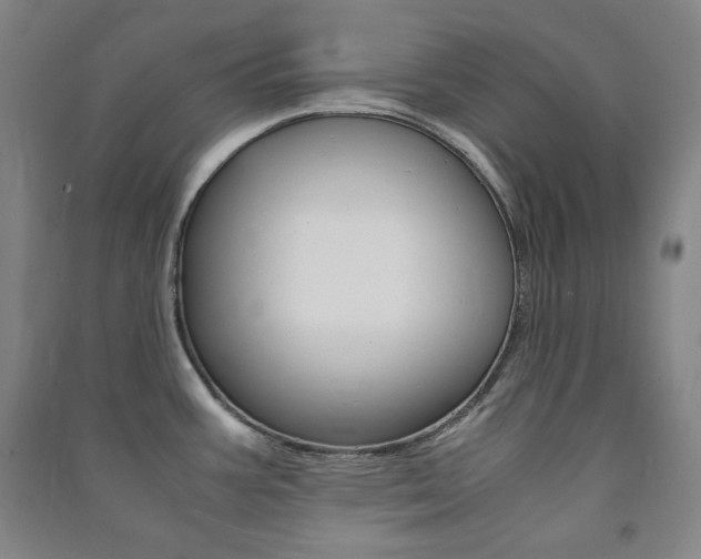 X0000091491387200708161201