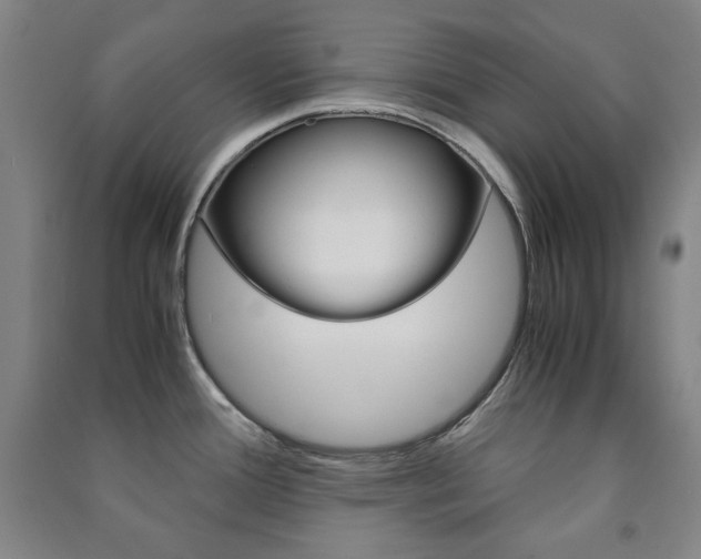 X0000091491388200708161201
