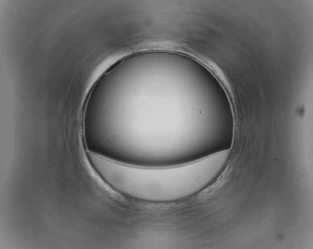 X0000091491389200708161201