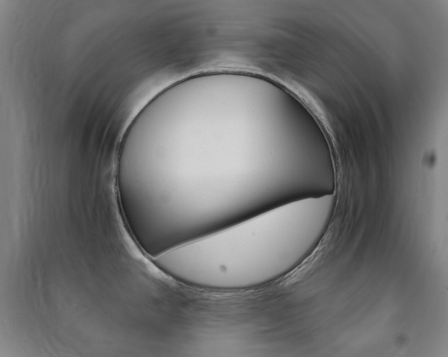 X0000091491390200708161201
