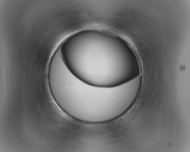 X0000091491392200708161201