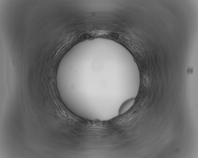 X0000091491393200708161201