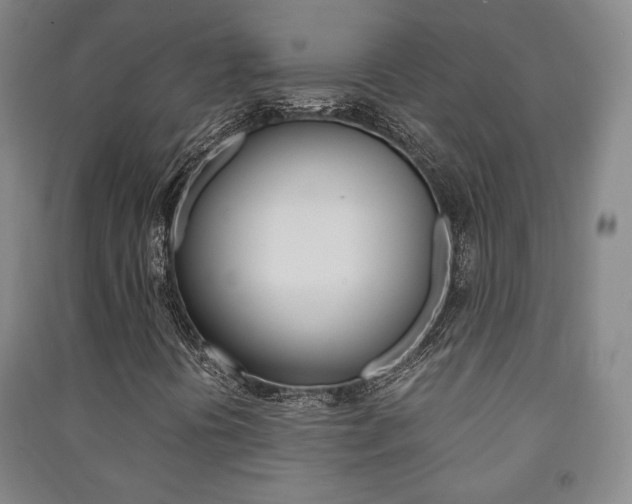 X0000091491394200708161201
