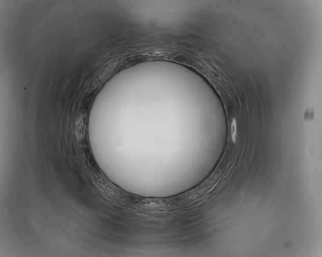 X0000091491395200708161201