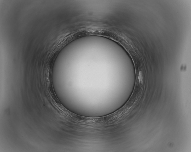 X0000091491396200708161201