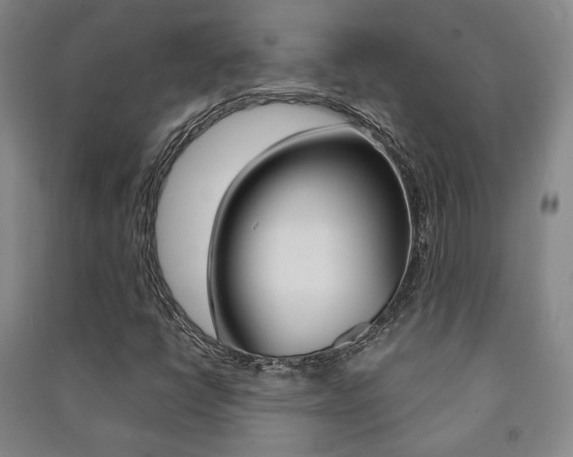 X0000091491398200708161201