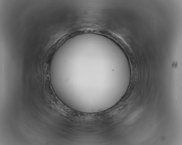 X0000091491399200708161201