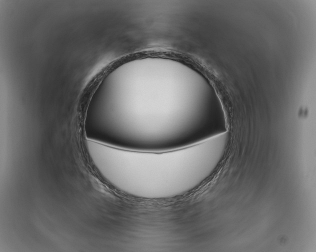 X0000091491400200708161201