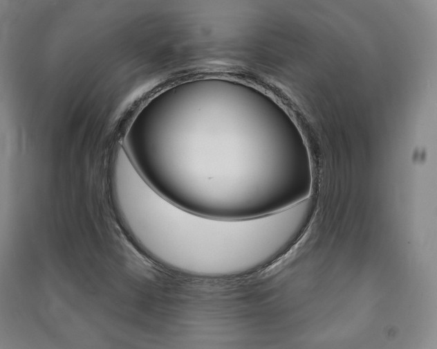 X0000091491402200708161201