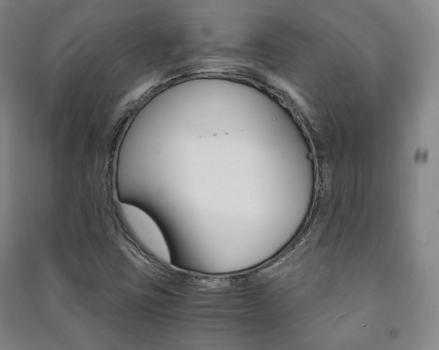 X0000091491403200708161201