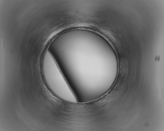 X0000091491404200708161201