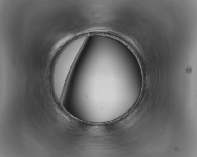 X0000091491406200708161201