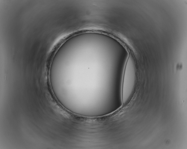 X0000091491408200708161201