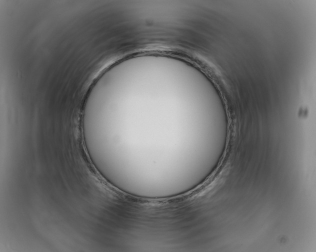 X0000091491409200708161201