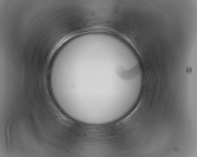 X0000091491410200708161201