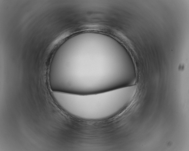 X0000091491411200708161201
