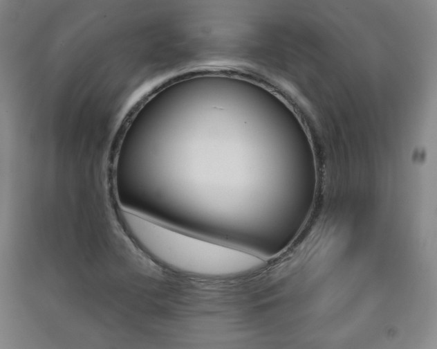 X0000091491412200708161201