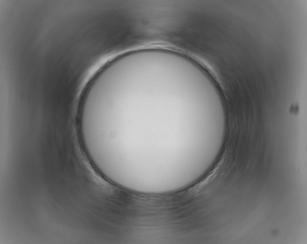 X0000091491414200708161201