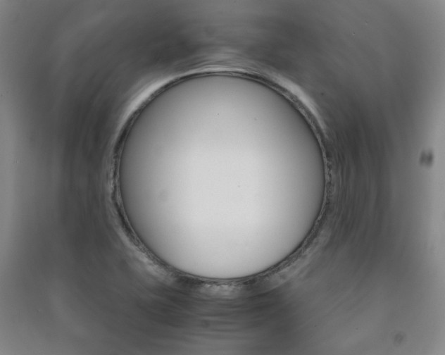 X0000091491415200708161201