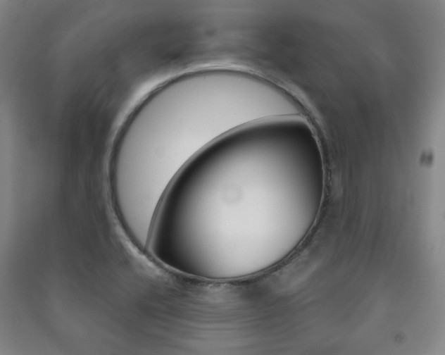 X0000091491416200708161201