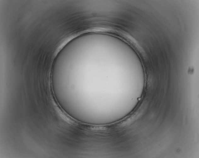 X0000091491417200708161201
