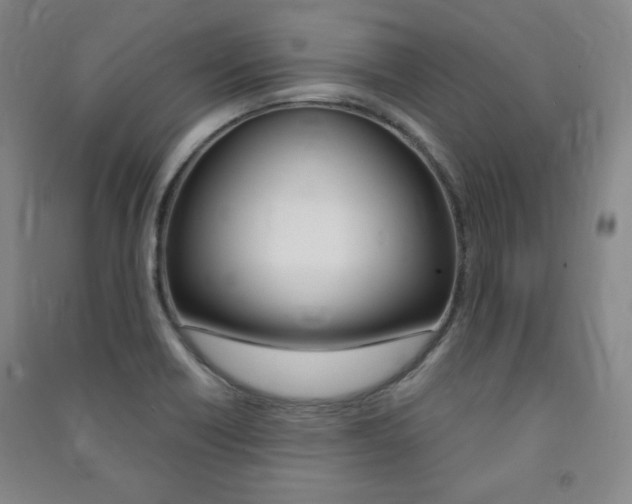 X0000091491418200708161201