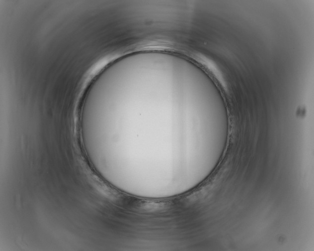 X0000091491419200708161201