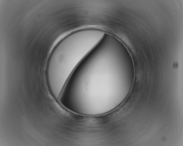 X0000091491420200708161201