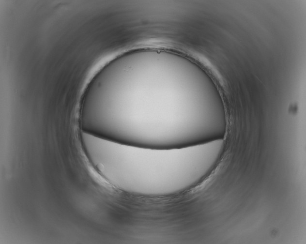 X0000091491421200708161201