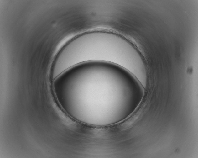 X0000091491422200708161201