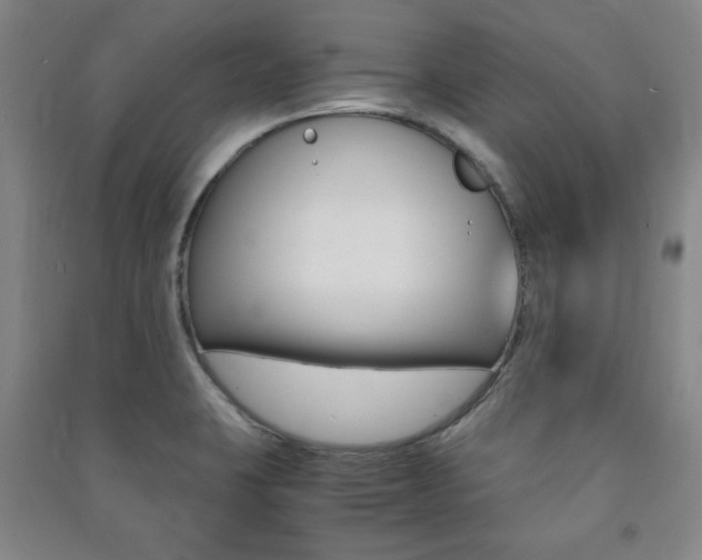X0000091491423200708161201