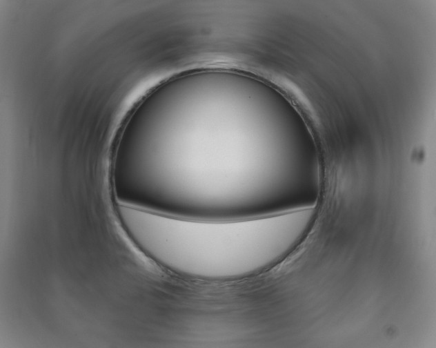 X0000091491424200708161201