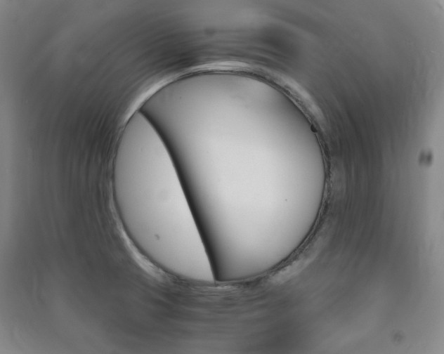 X0000091491425200708161201